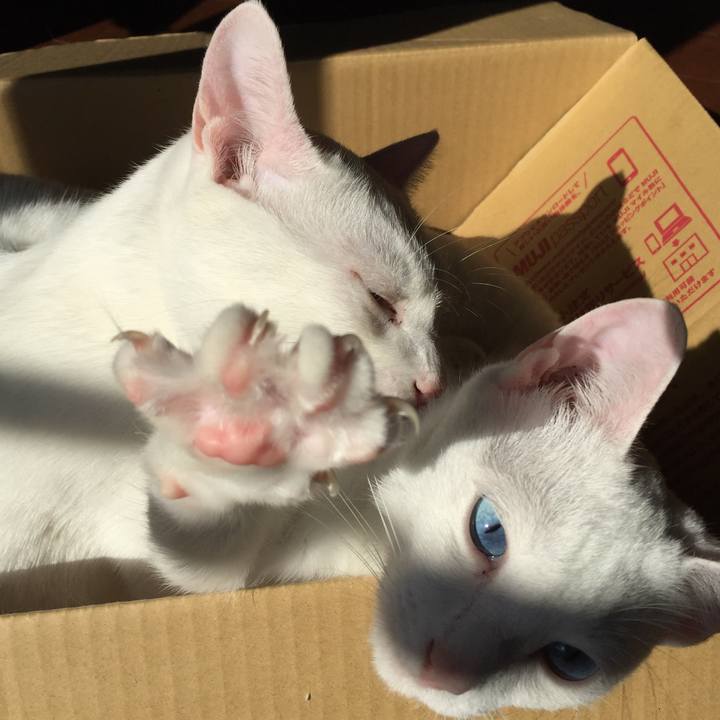 723ca186 f6a1 4e3e bc3e 11eadad3cd0c