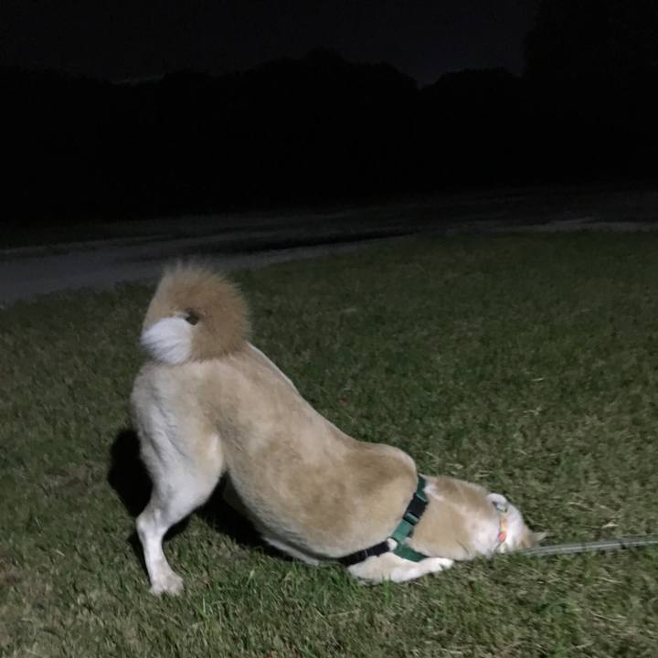 723cd468 e7b1 4314 9414 a0424a3dc0bd