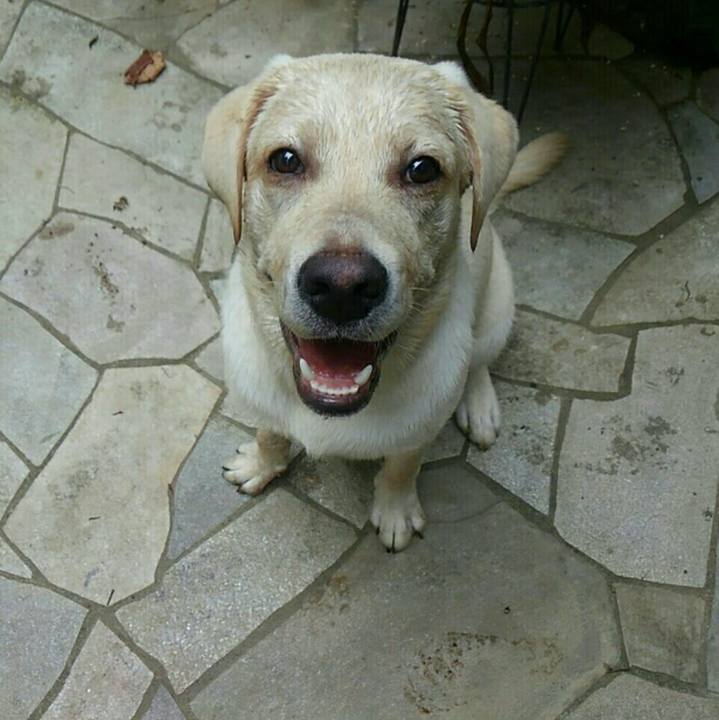 723d23d1 12df 4fa1 82a5 18f83abf602e