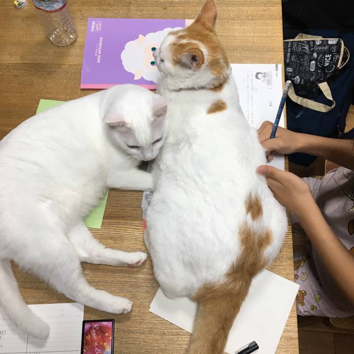 723d5e15 3f66 4814 a190 2420834f67ae