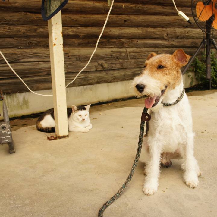 723d84f3 5120 4b76 8aaa 70d2b19e7468