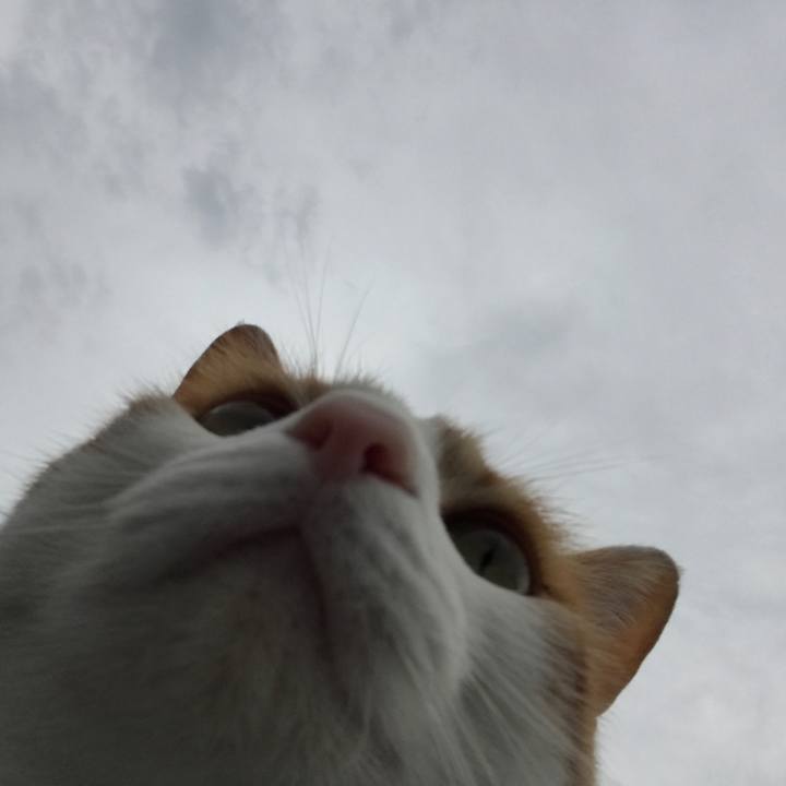 723dba91 859a 4e9b 917f d187682d2943