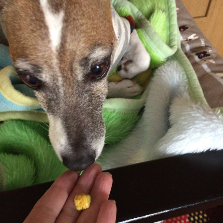 723de36b e664 447c adb0 75829cf778b4