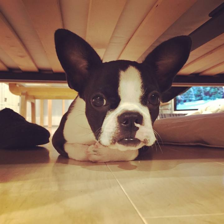 723e62a2 f7ed 4d54 a34f 10077638b1b6