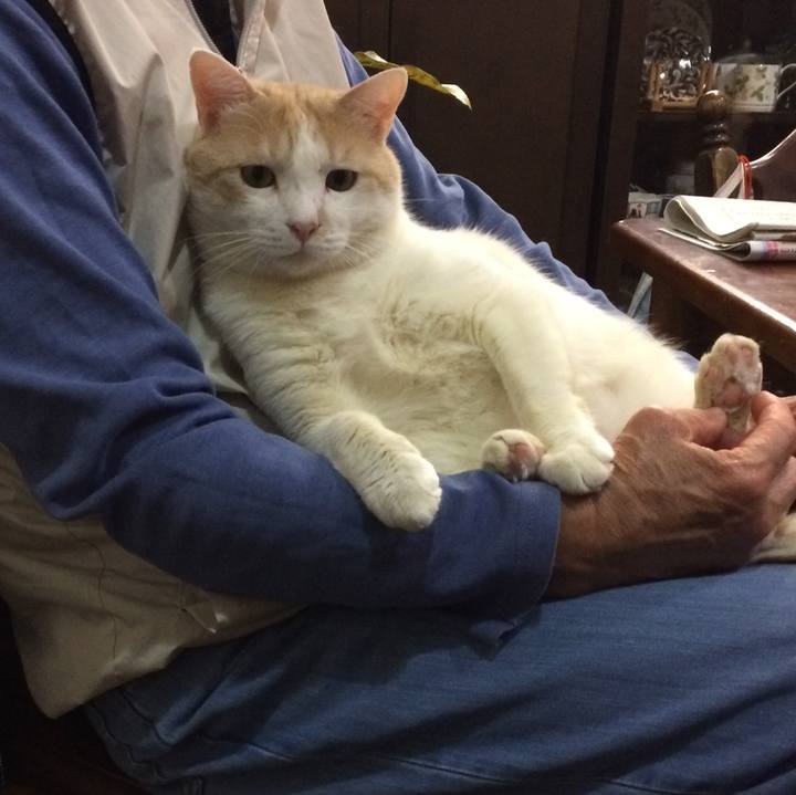 723e828d 1e72 45c3 a286 ce8a4cbe9a01