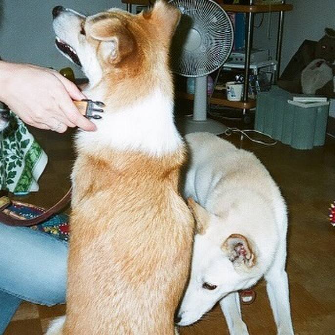 723ebb9e c83b 44d1 b873 c7de28892c21