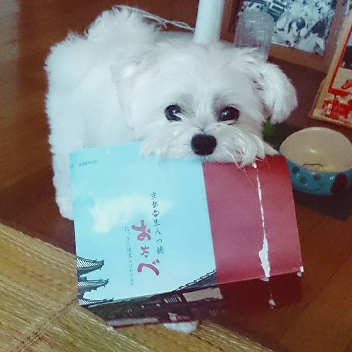 723ebeec bf5f 4ff0 866d 2d560a9d8323