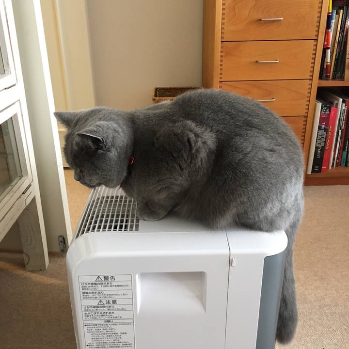 723ed0fa 266a 4424 b0bc bfa18d9f1e71