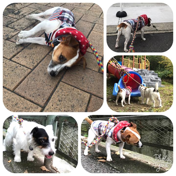 723f363a 467d 4424 992b f670e1820f09