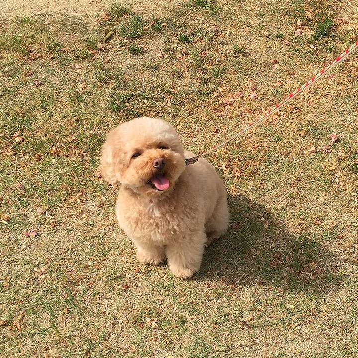 723f6da9 25ad 42e9 87b3 d6ecdbbc54d9