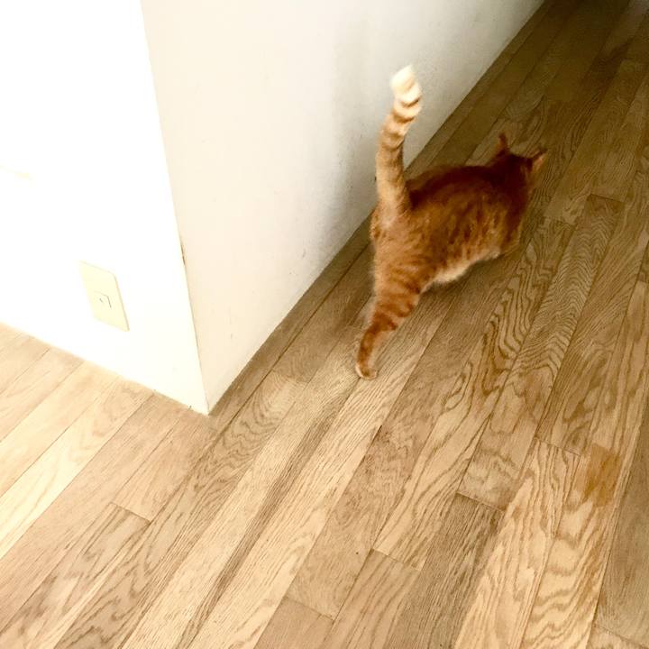 723ff338 905d 40ae 9400 cd3a648b6680