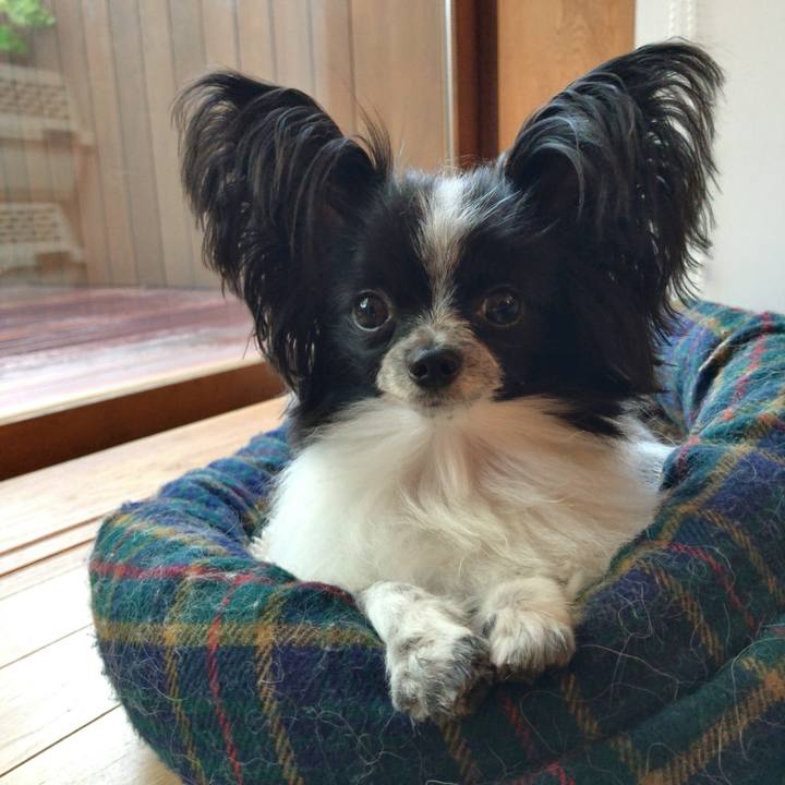 7240d553 86e0 4aa9 aecb 4d89115c9094