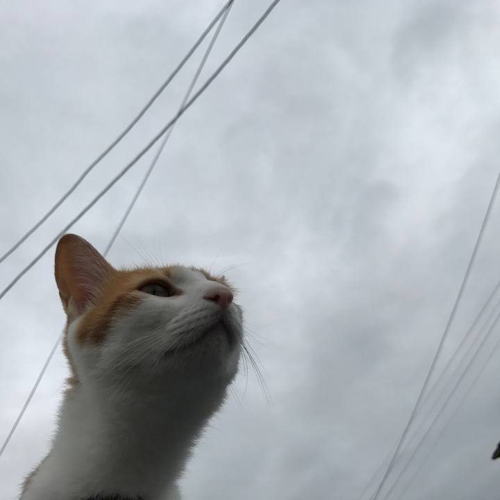 72411c1e 3d28 4af9 9401 980b2eff2d86