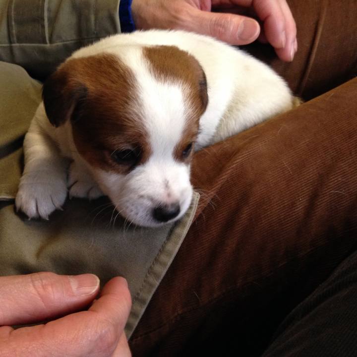 7241a89f 4c4b 4136 b4ee 120ce33729a3