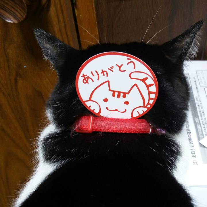 7241b96a a26f 46cd a52e 4c2307fc778c