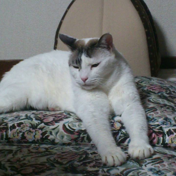 7242610a 2218 4146 8531 c7b3fa0cdbea