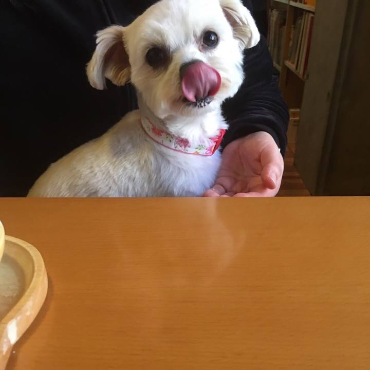 724284d9 0416 42c5 abce cd36c608ebb2