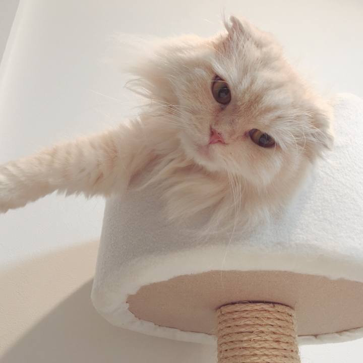 7242be53 ac2a 472d 8746 74fe5e5ffb47