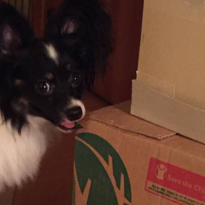 724381e8 ec73 4f34 b804 e0360c78f6eb