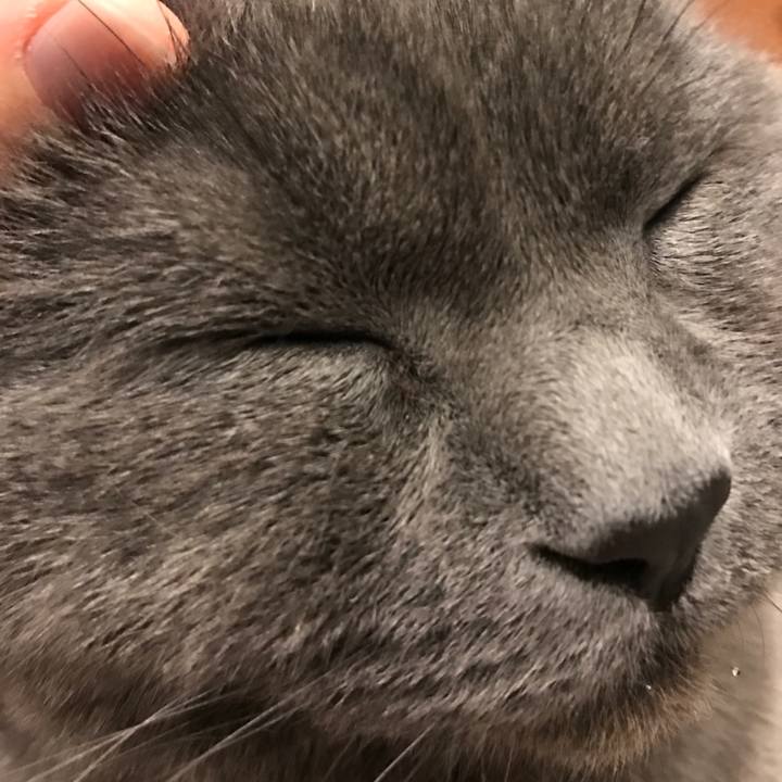 7243ba5b ba92 4073 b55a e0ed9ef178c7