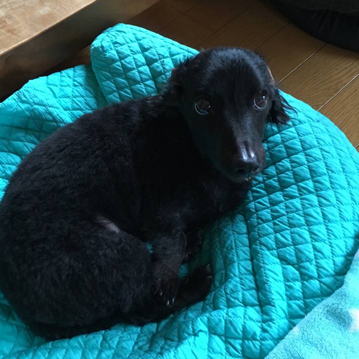 72440fd9 0b8a 4d31 a8c1 e65eb712b13b