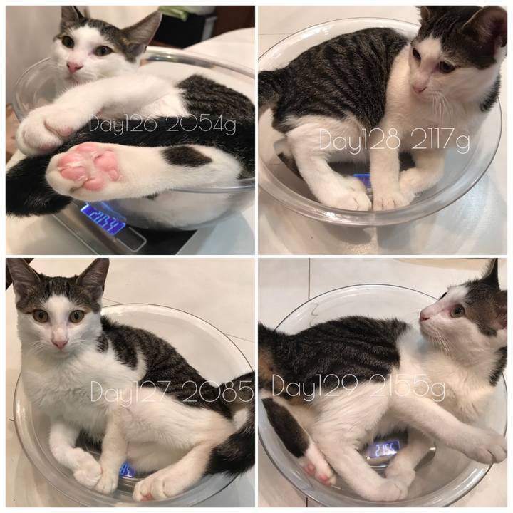 724493a1 3c87 4798 9a16 45970463a18c