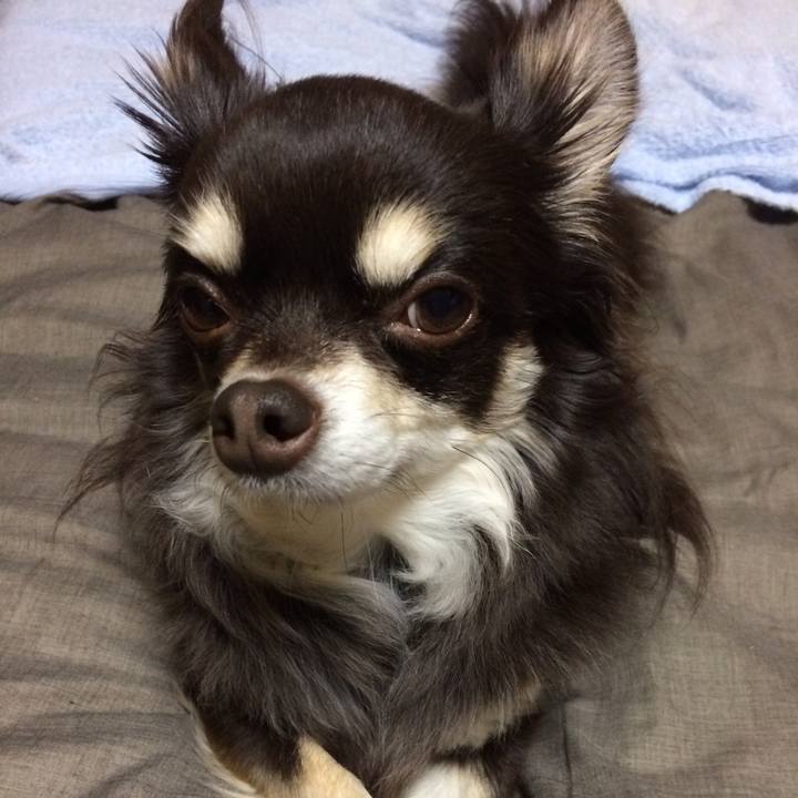 7244bb29 8f07 4902 9c0b 6eb759df665f