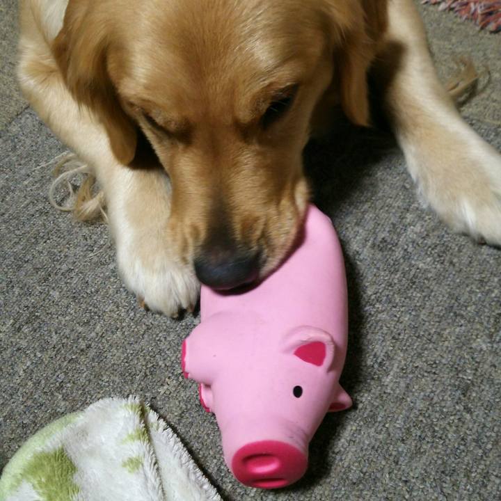 7244ed1c f896 498d 86a1 b8c158d5ca02