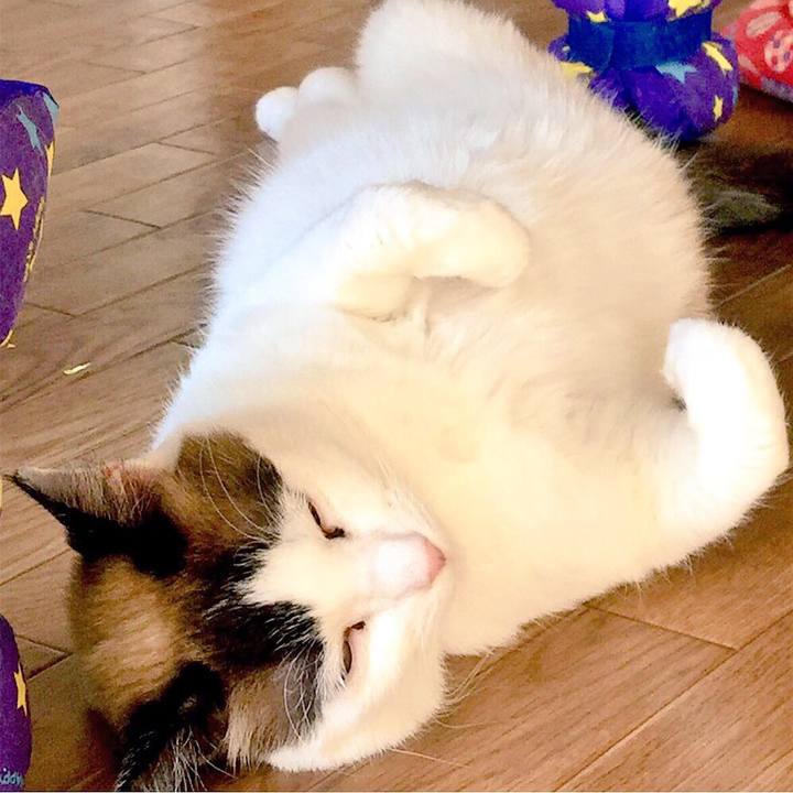 72453469 ea31 4350 9d63 f92d29a29591