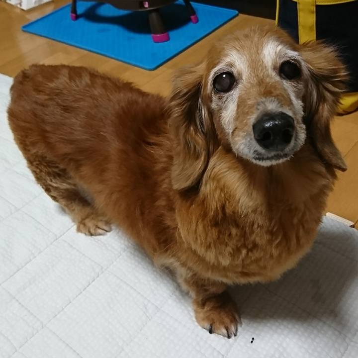 7245e37c 38e0 49b1 86e2 f4b032b239c8