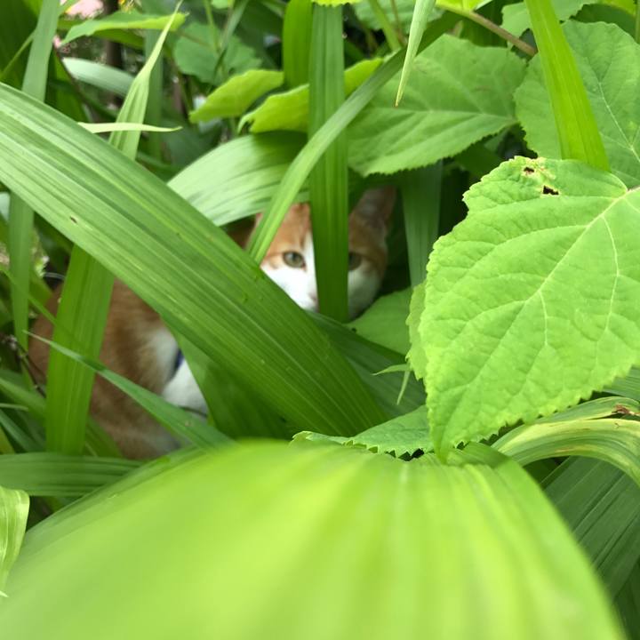 72461ad8 e645 4776 a778 26d2dac5986c