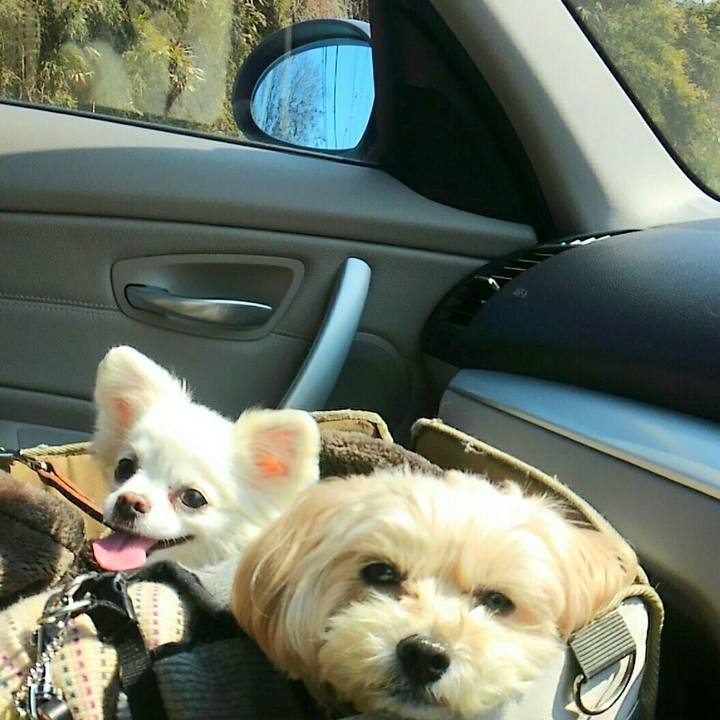 7246a39c 15a9 4622 869e 0e29979f4431