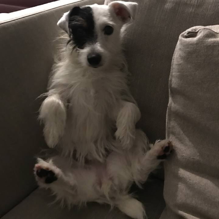 7246d442 a13e 42c3 8458 dbbc34a76393