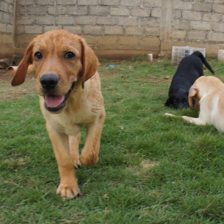 7247076a 295e 4d2e 8b5d 4adaefacd8cb