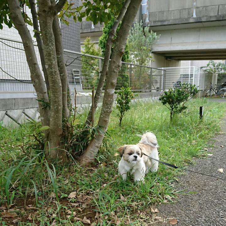 72470e8f 4cd8 42d0 81bd 0d3d387ccb9b