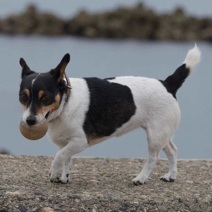 7247fb54 55c4 467d 8349 26ff19be8eb5