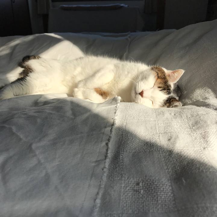 7248e73e e621 4d92 8b0c a9979e477886