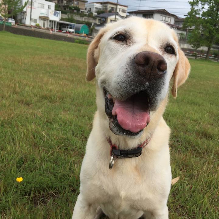 72493ada 788a 4649 a097 d457314db761