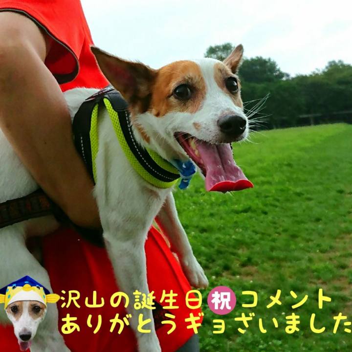 7249b420 0d20 4cce 803b 2a7ca91ee2fa