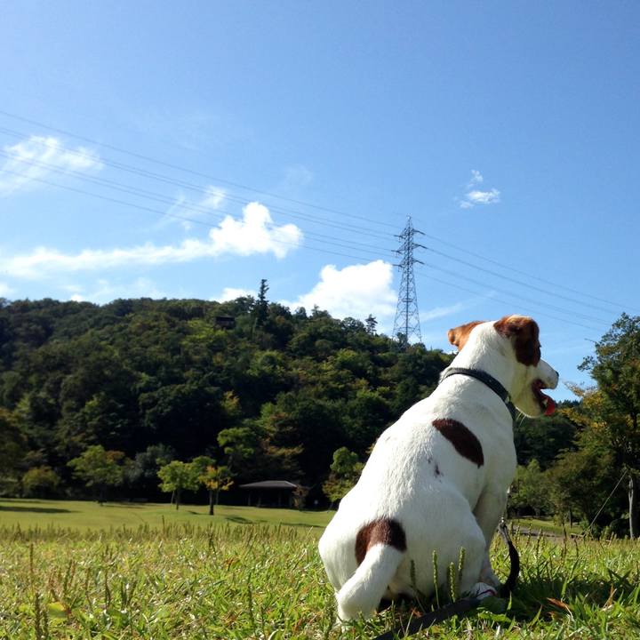 724a0f8f 49ac 4703 ae0d 5be2b956eb08