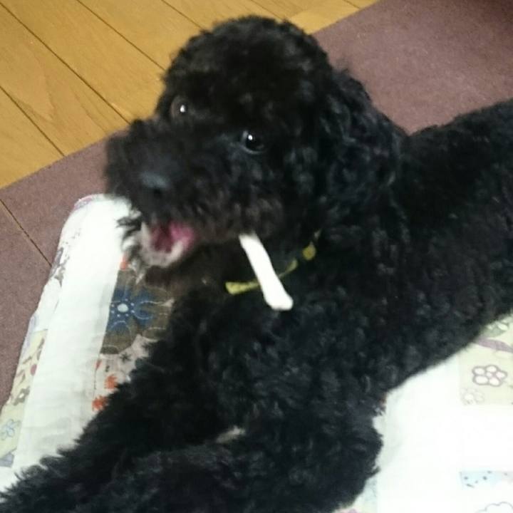 724aec39 e324 4b5e 9106 3ec1c3a11c89