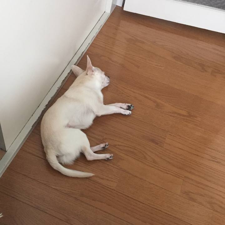 724b064a 8451 418c b784 f000d9ec69c3