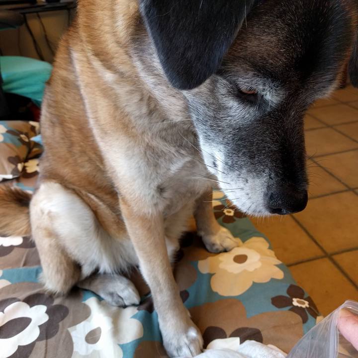 724b9d9e 57e2 4f11 aaf7 ecd635aa3212