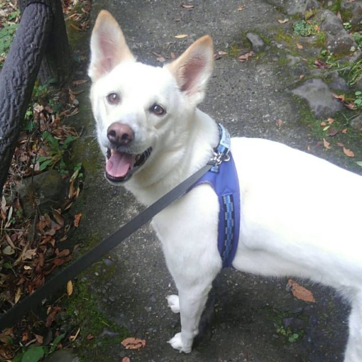 724bcc06 2ec1 4b00 a69c 6c78222f6766