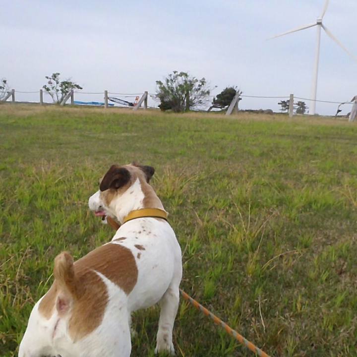 724bcf3f 78e4 4d91 92b3 3d5c0b4decf4