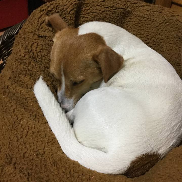 724c41eb b092 4b15 b19e 9234a2cc3ffb