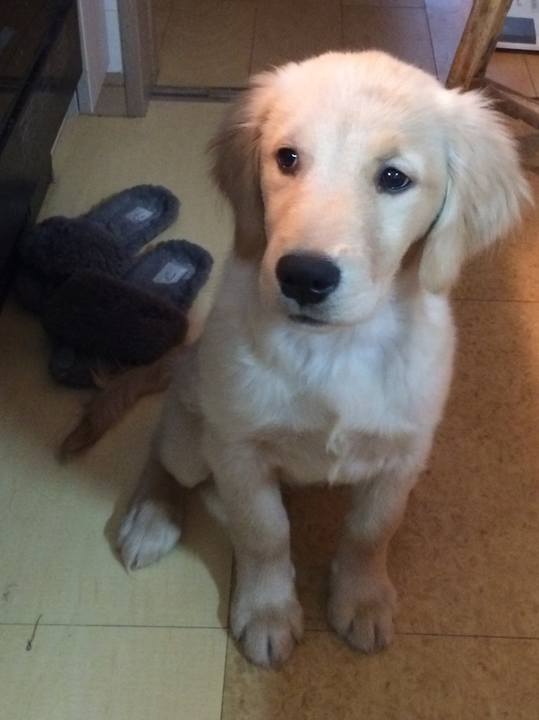 724c5cf5 53ff 41ca ae02 97b07073b7e5