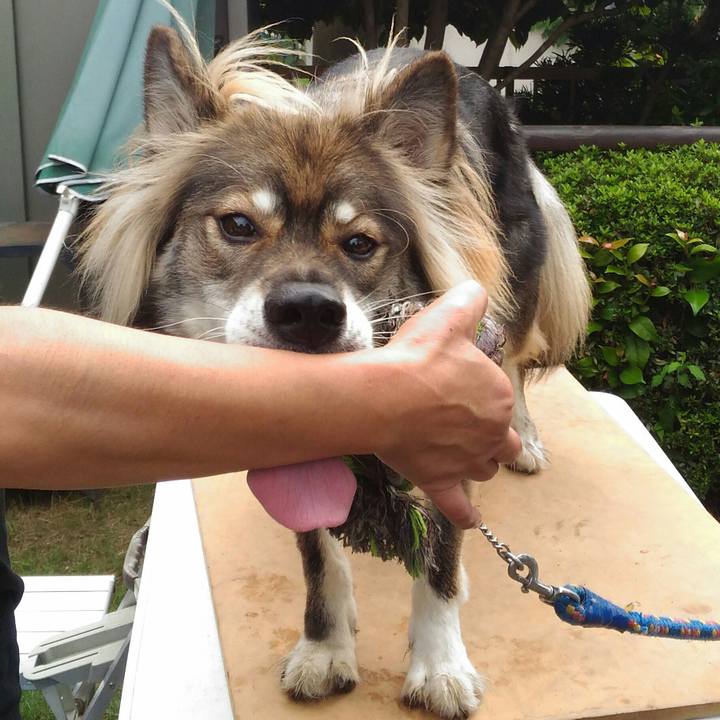 724e12c0 7ccc 495b 9be0 5a73e69d9434