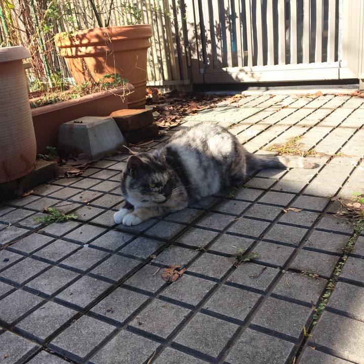 724e3ad1 264a 45e3 afee 755191be92f1