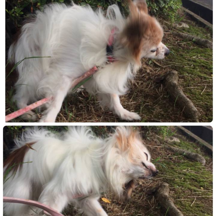 724e6c59 5752 4609 a45b e2bbf9076ea0